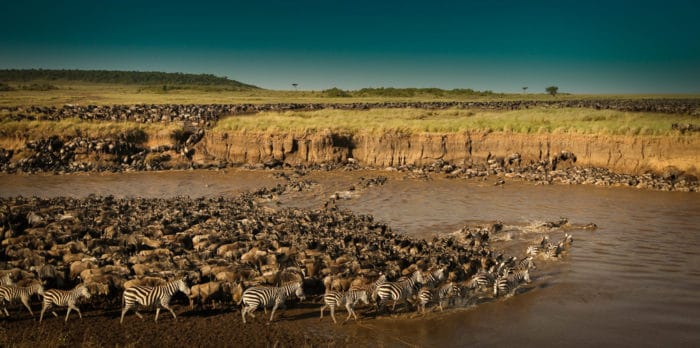 Great-Migration-Serengeti-National-Park